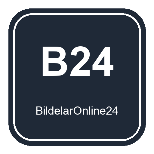 Bildelaronline24